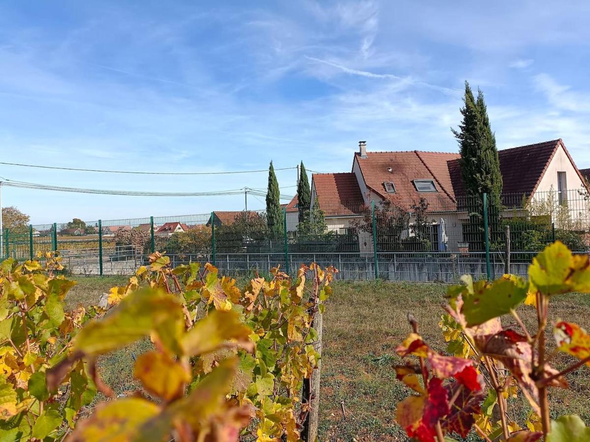 Villa Des Climats Bourgogne 马尔萨奈拉科 外观 照片